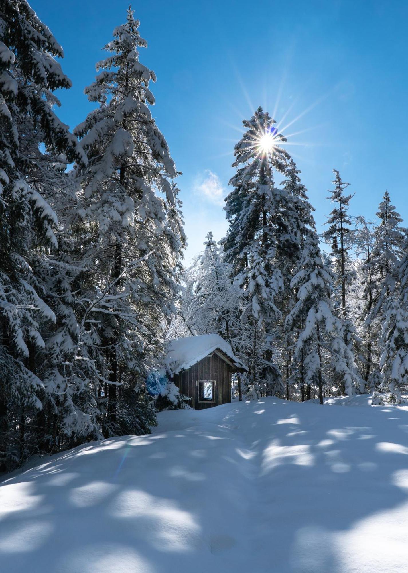 Ferienwohnung Bergpfote - Hund Herzlich Willkommen Шайдегг Экстерьер фото